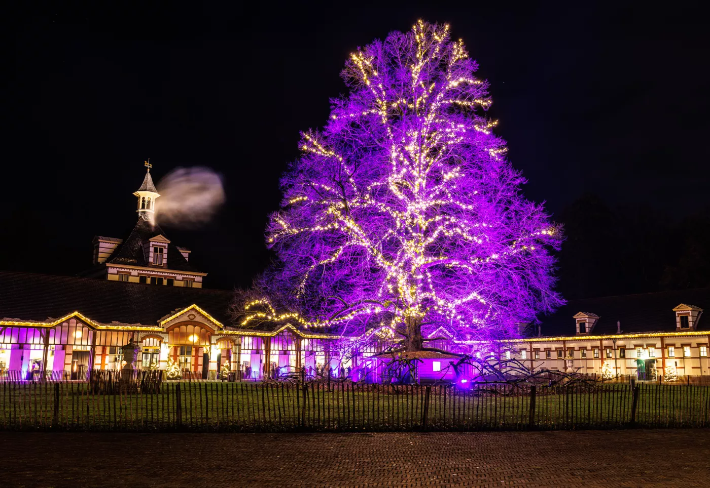 Amalia 21 - rondleiding Paleis Het Loo 13.00 uur - Afbeelding 3